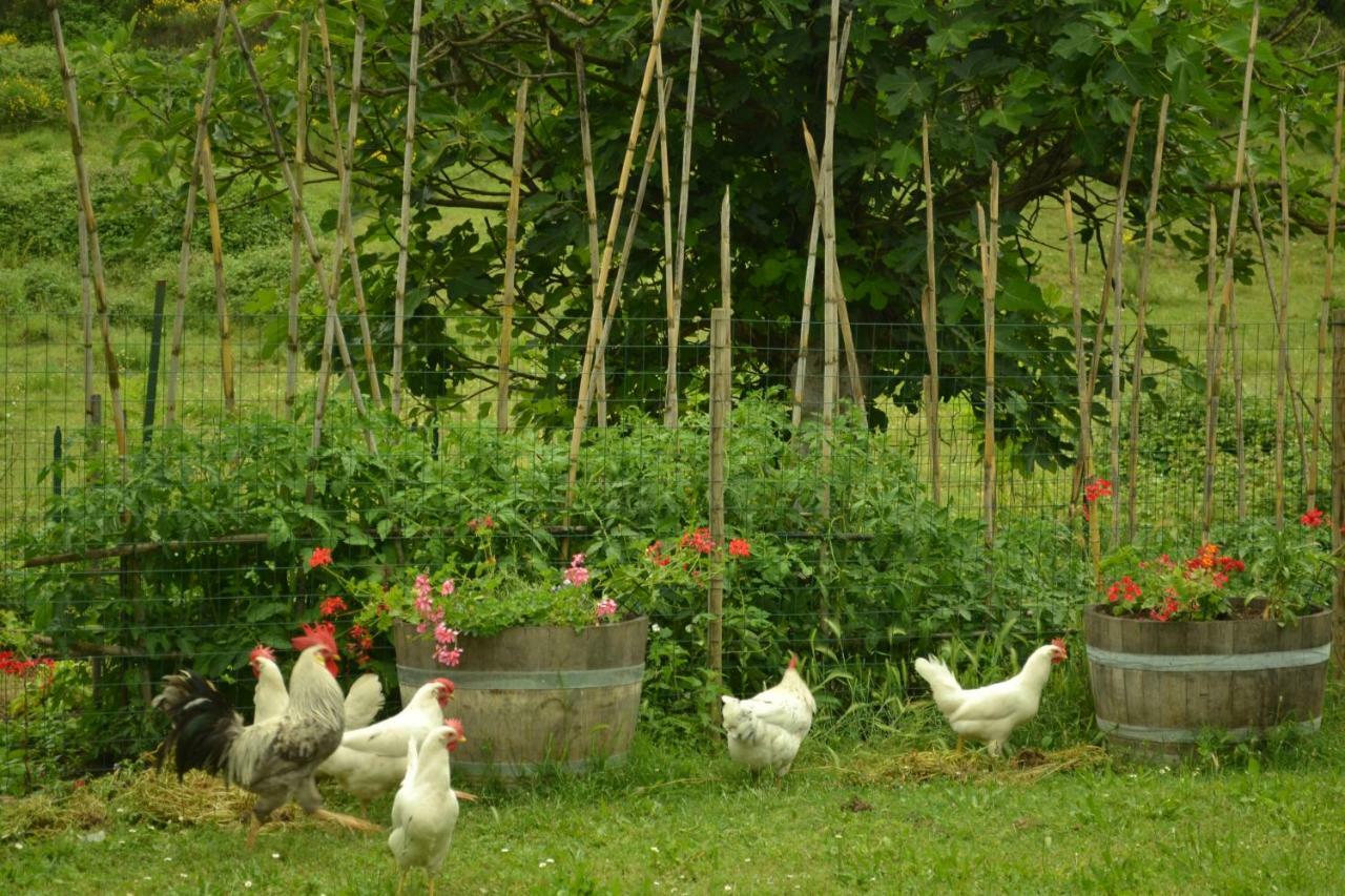 Appartamenti La Miniera Castelnuovo Berardenga Extérieur photo